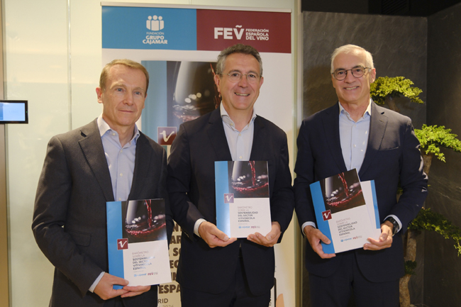 2-fev-sostenibilidad-sector-vitivinícola