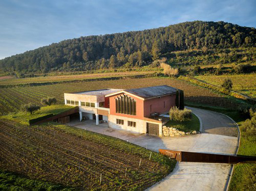 4-cava-nuevas-bodegas