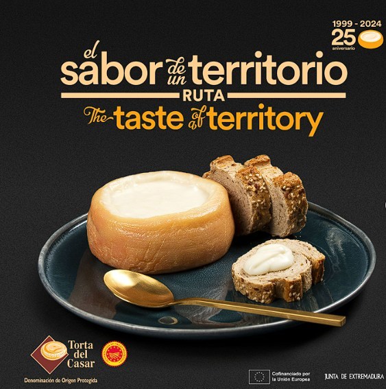 2-torta-casar-universidad-queso