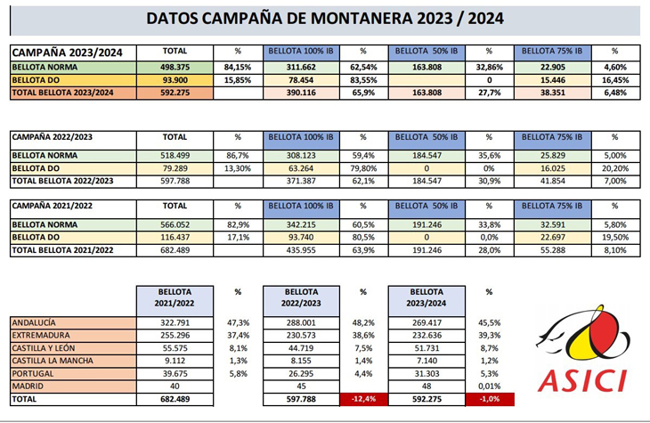 Montanera 2023/2024 finaliza con unas cifras muy similares a la anterior