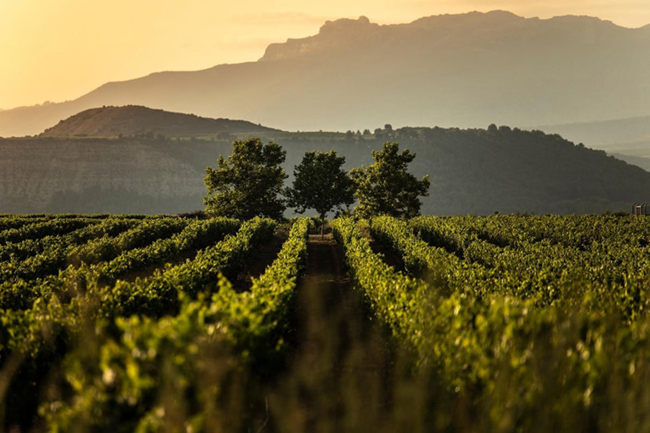 rioja-nueva-direccion