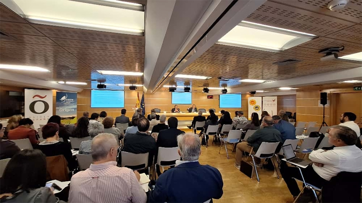 origen-españa-cecrv