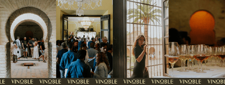 3-vinoble-2026