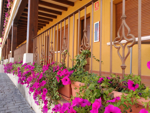 Hotel Milagros Río Riaza