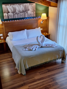 Hotel Milagros Río Riaza