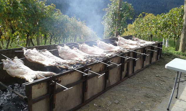 bodega-berroja