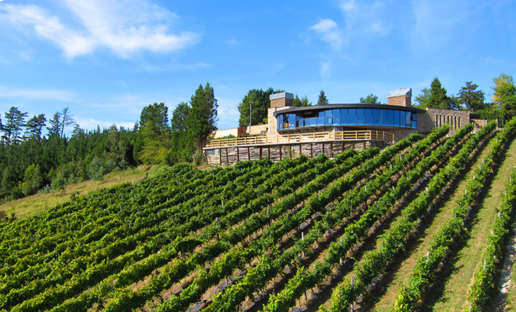 bodega-berroja