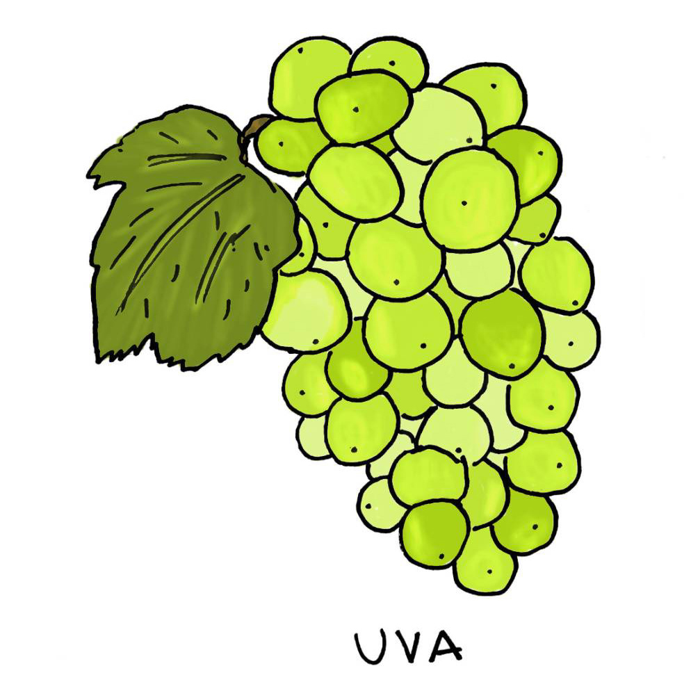 Uva