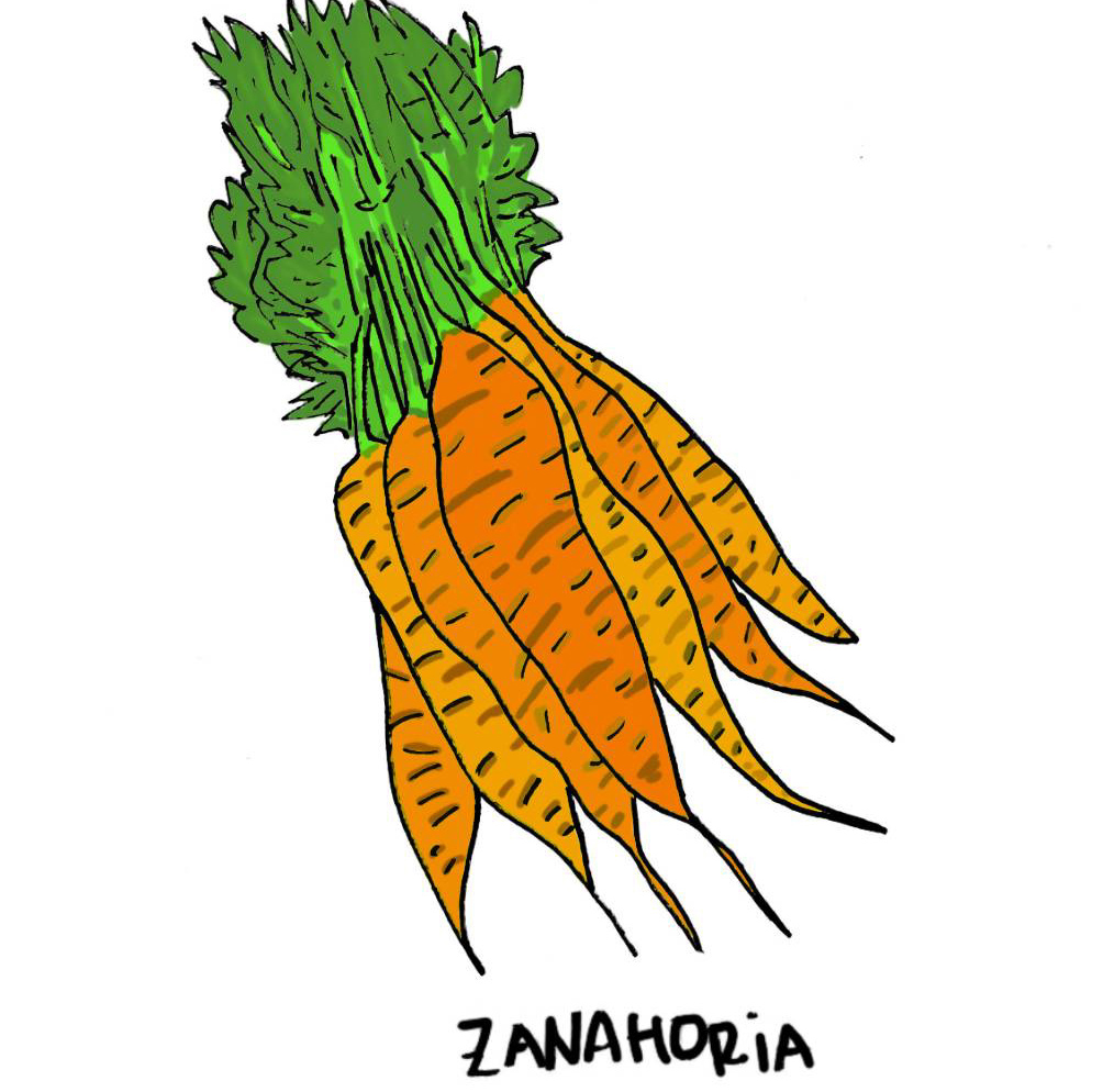 Zanahoria