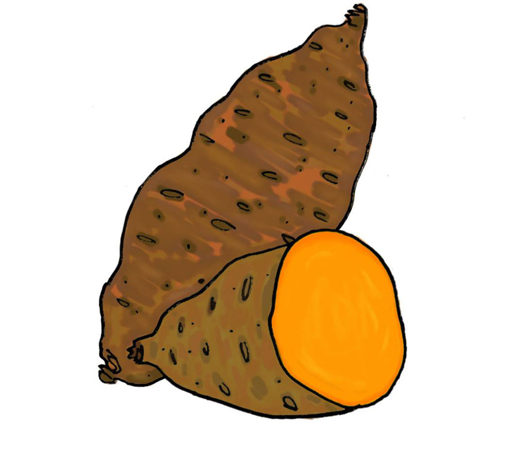 Boniato